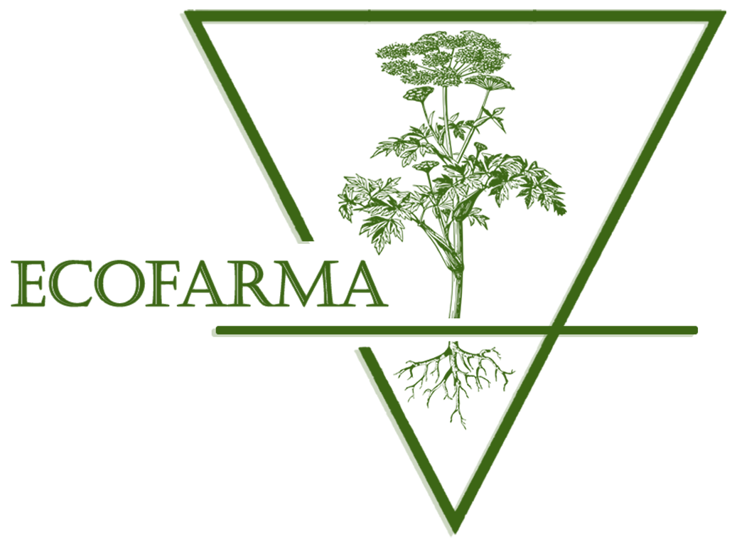 Natural, Organic products for skin, beauty, taste